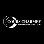 Cours Charmey, agence immobilière VANNES